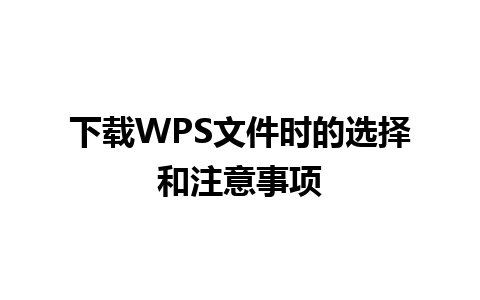 下载WPS文件时的选择和注意事项