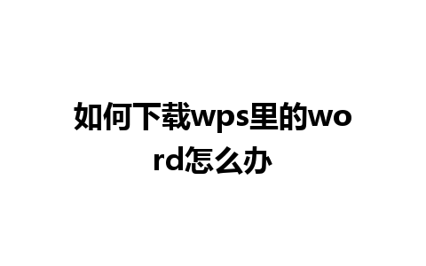 如何下载wps里的word怎么办  
