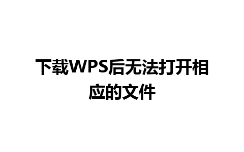 下载WPS后无法打开相应的文件