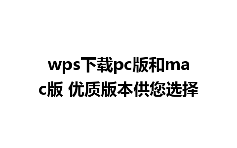 wps下载pc版和mac版 优质版本供您选择