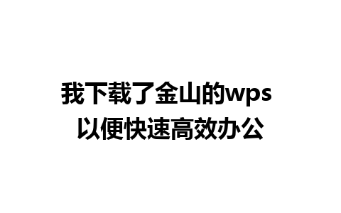 我下载了金山的wps 以便快速高效办公