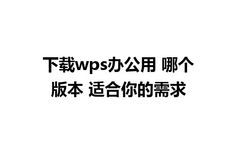 下载wps办公用 哪个版本 适合你的需求