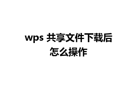 wps 共享文件下载后怎么操作