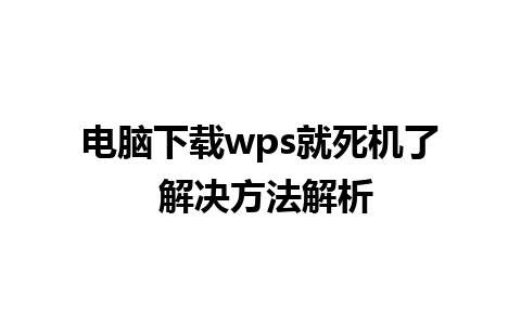 电脑下载wps就死机了 解决方法解析