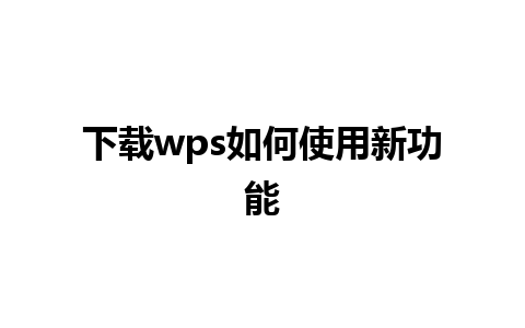 下载wps如何使用新功能