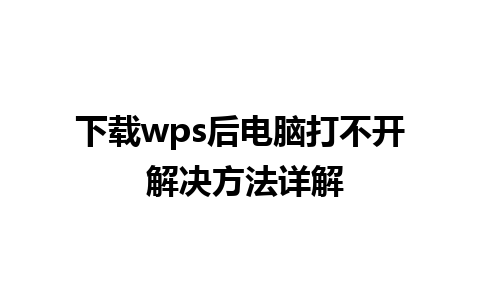 下载wps后电脑打不开 解决方法详解