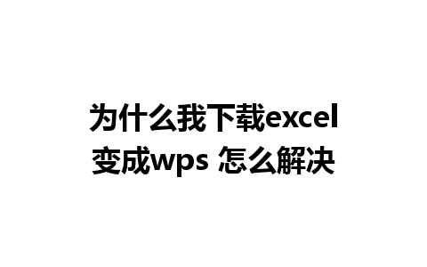 为什么我下载excel变成wps 怎么解决